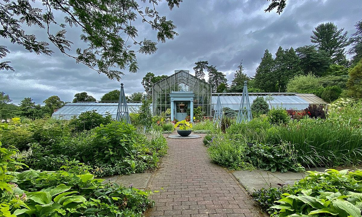 A flower garden with a path and perennial borders